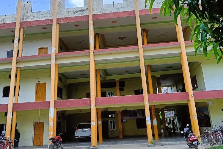 gallery 4