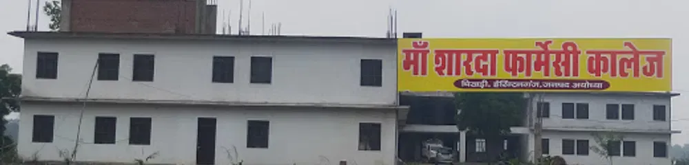 gallery 11
