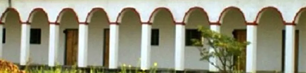 Gallery 5