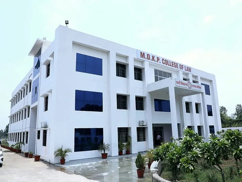 Gallery 5
