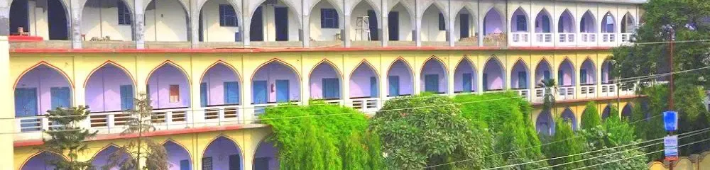 gallery 11