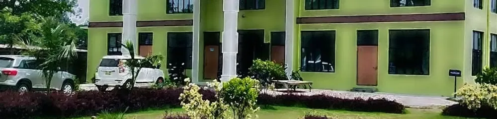 gallery 9