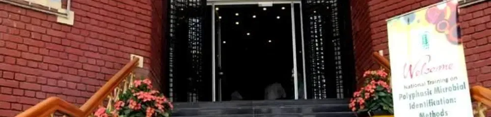 gallery 6