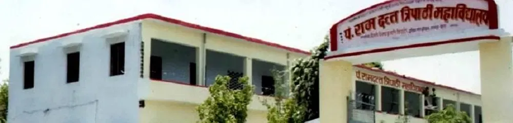 gallery 4