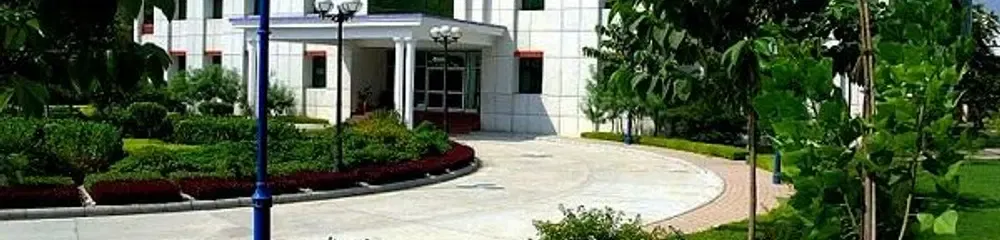 gallery 8