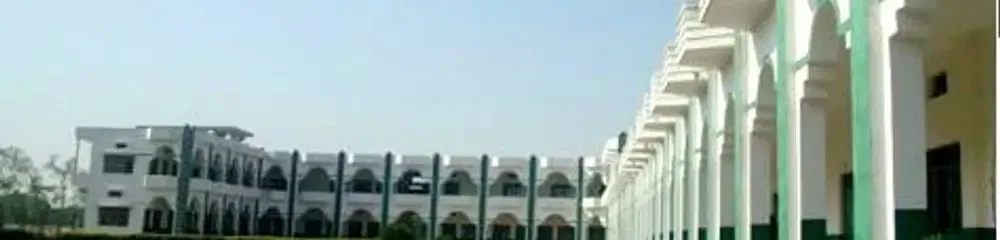 Gallery 5