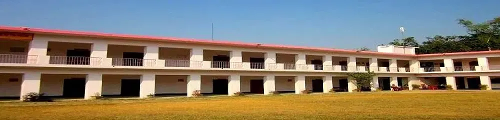 gallery 6