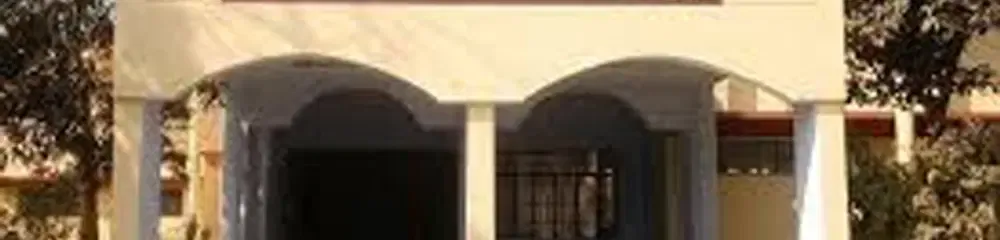 Gallery 5