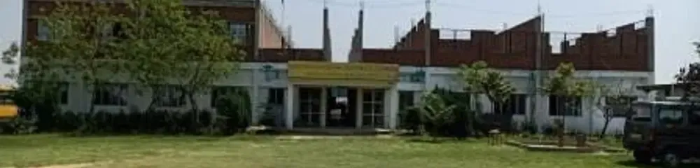 Gallery 4