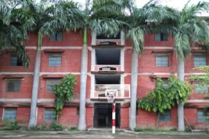 Gallery 4