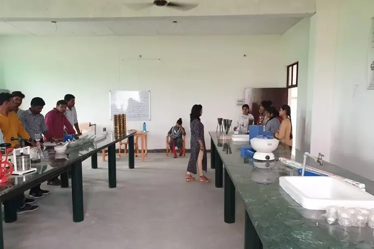 Gallery 4