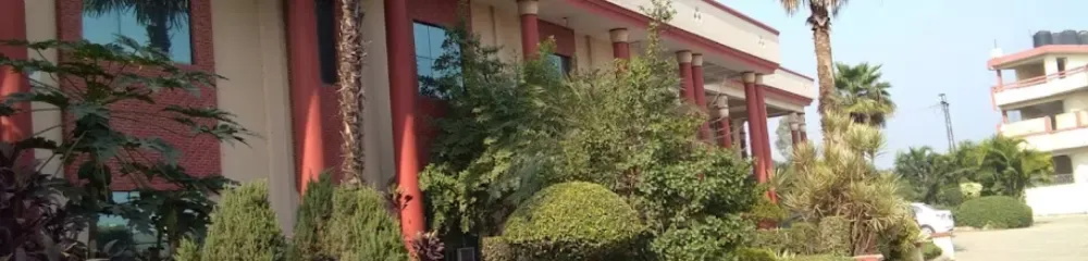 Gallery 4