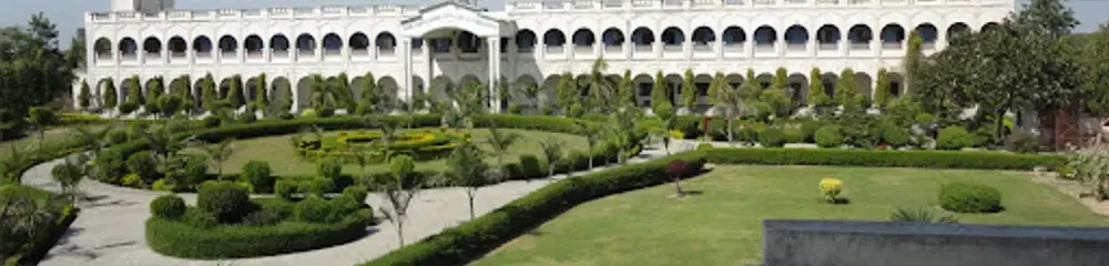 gallery 5