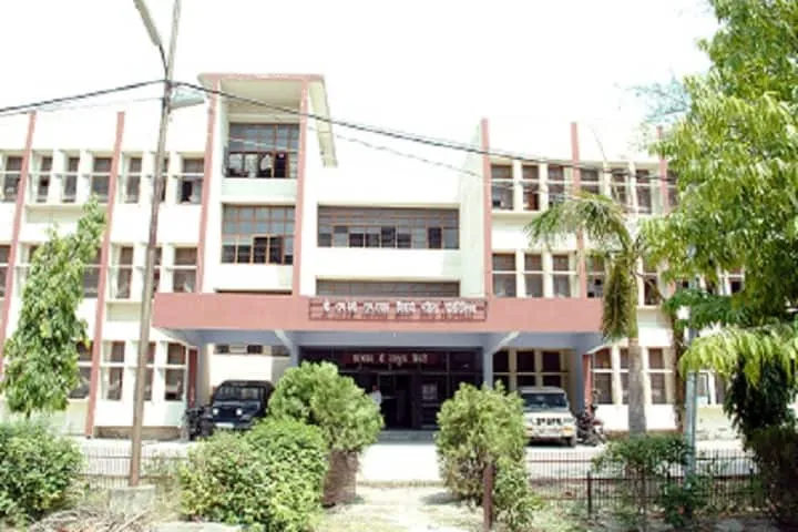Gallery 5