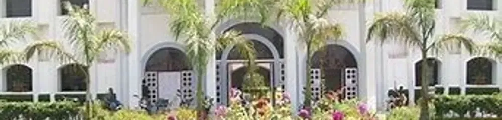 gallery 7
