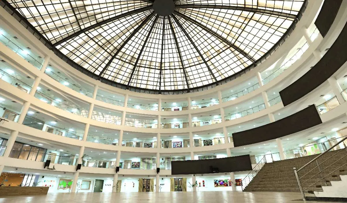 gallery 6