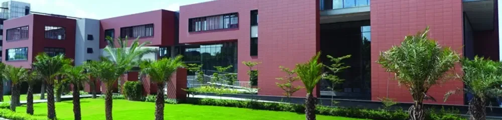 gallery 8