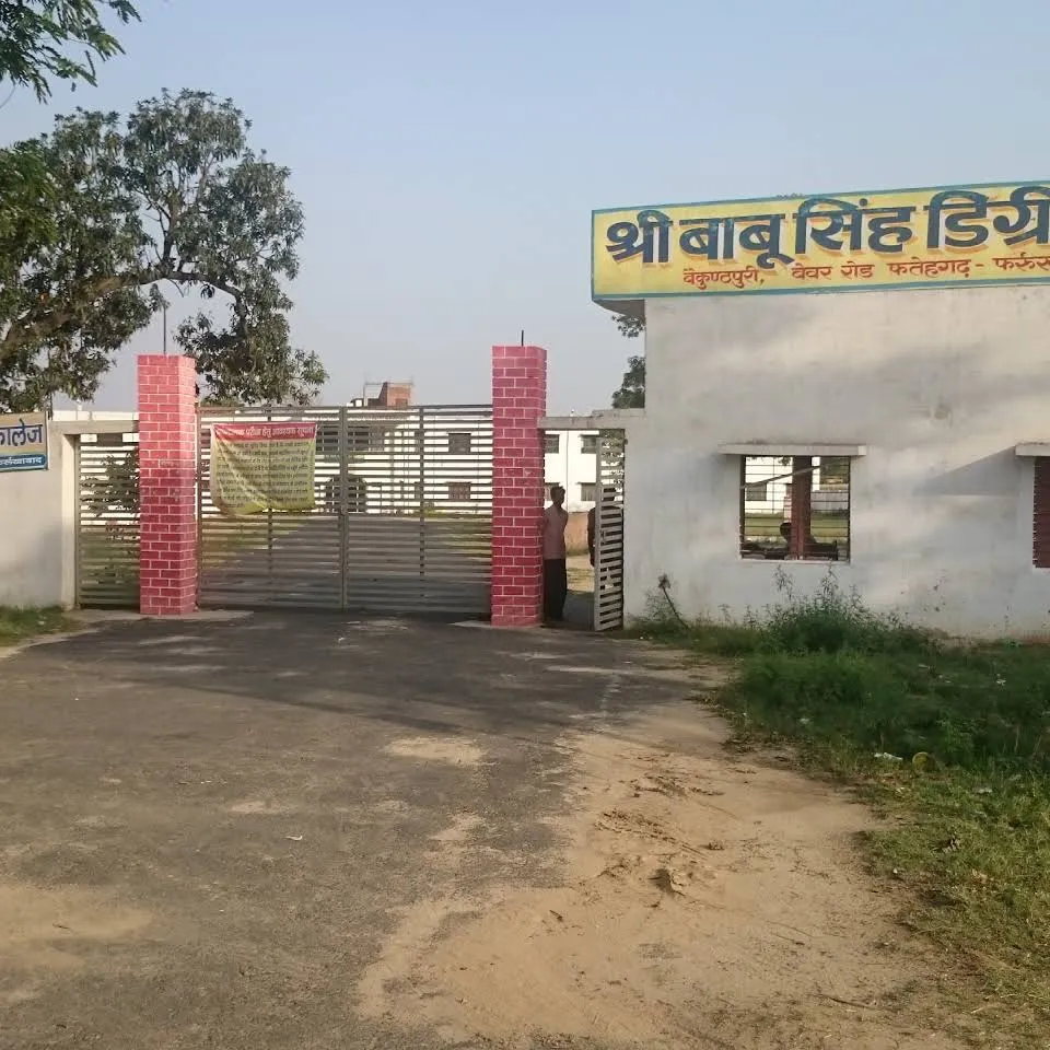 gallery 6
