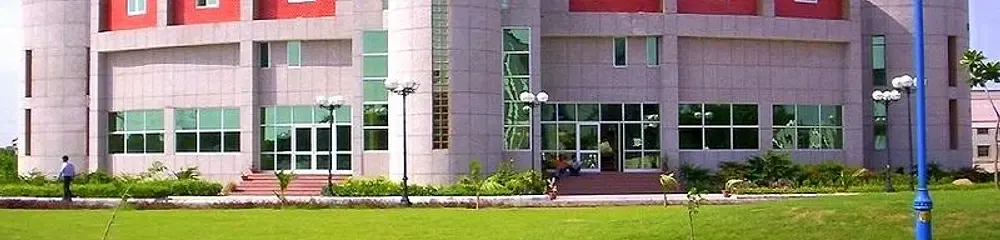 gallery 11