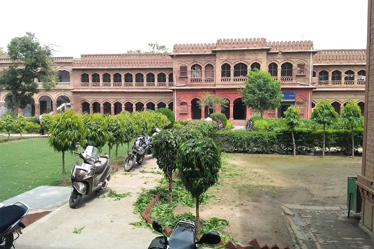 Gallery 5