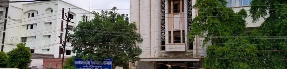 Gallery 5