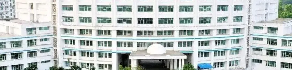 gallery 11