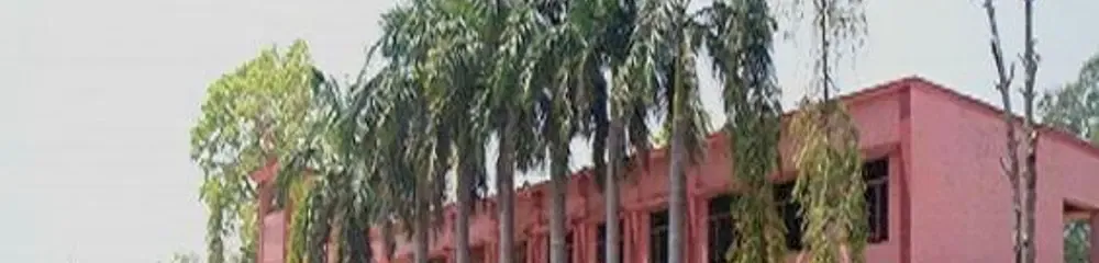 gallery 5