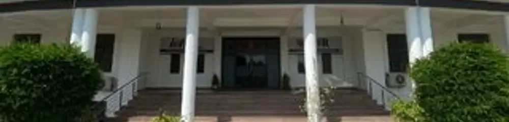 gallery 13