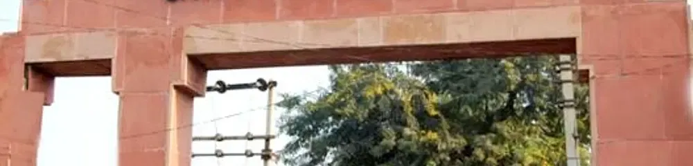 gallery 9