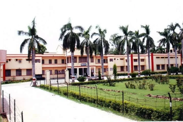 Gallery 4