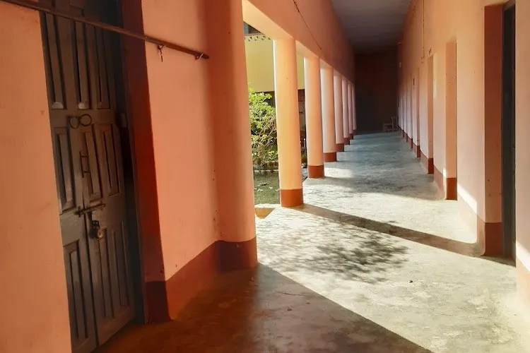 gallery 8