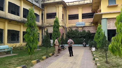 gallery 6
