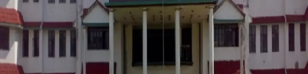 gallery 6