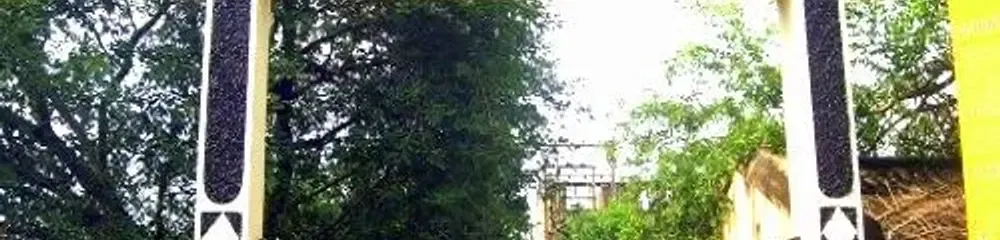 gallery 8