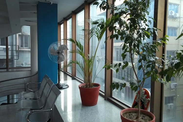 gallery 7