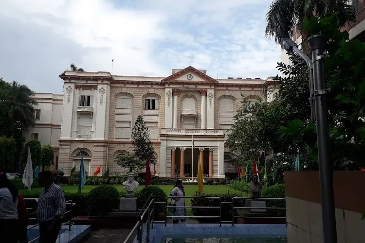 gallery 7