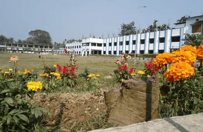 gallery 7