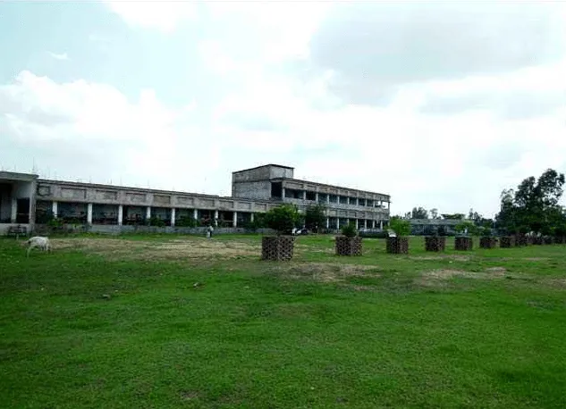gallery 11