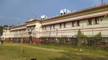 gallery 15