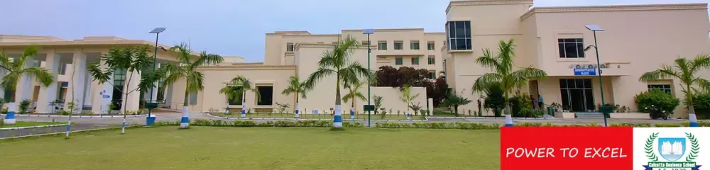 gallery 6