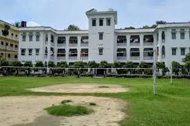 Gallery 4