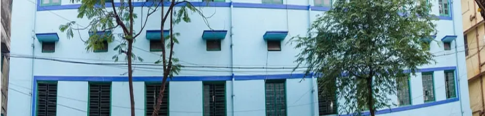 Gallery 5