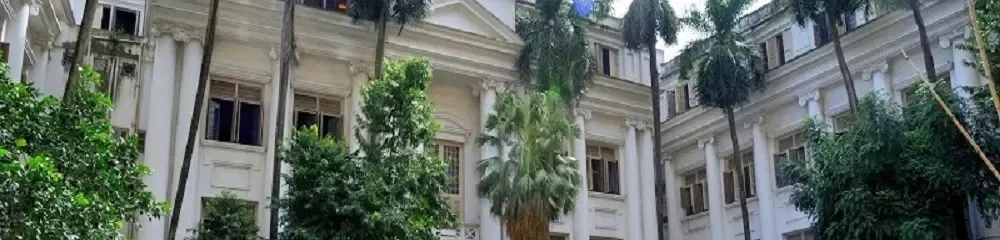 gallery 10