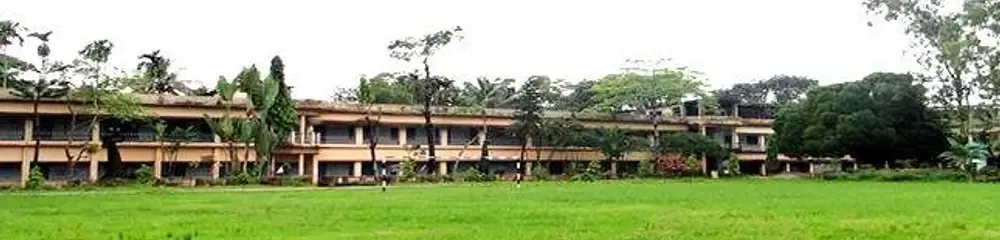 gallery 6