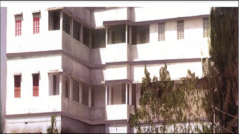 img-3