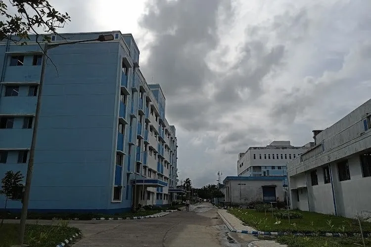 gallery 6