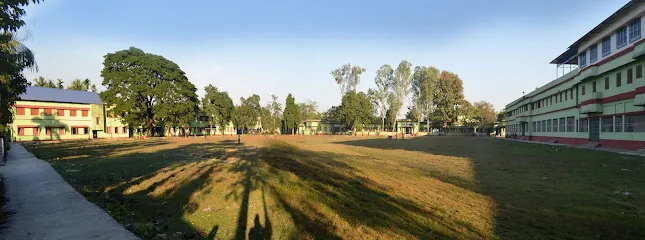 gallery 7