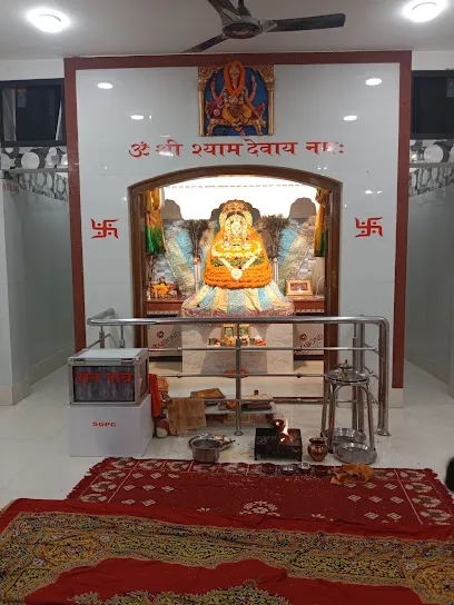 gallery 6
