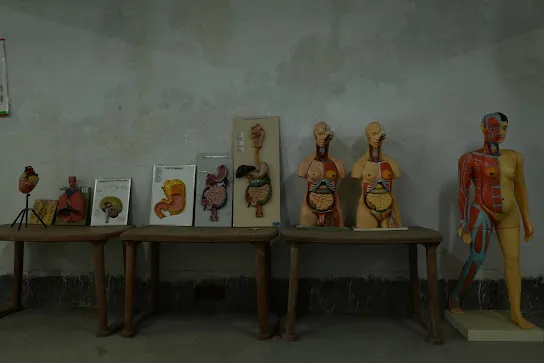 gallery 7