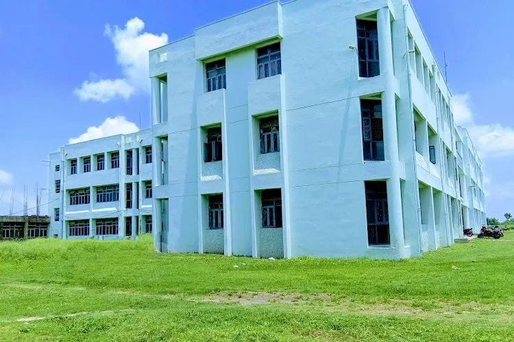 Gallery 5